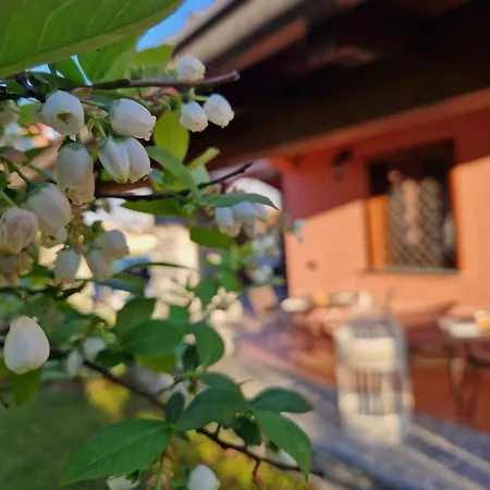 Bed & Breakfast Foresteria Simona *