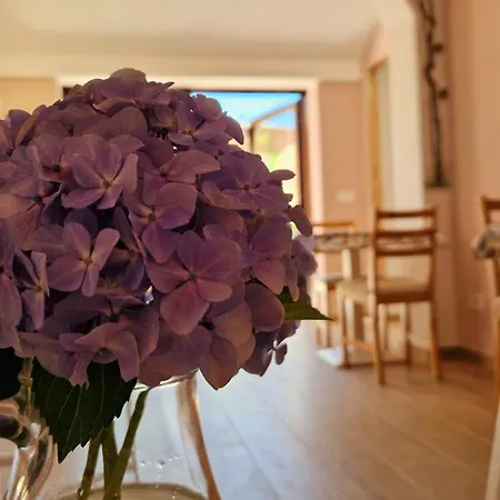 Bed & Breakfast Foresteria Simona