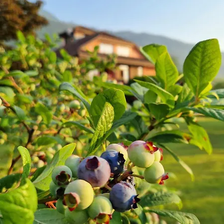 Foresteria Simona Bed & Breakfast *